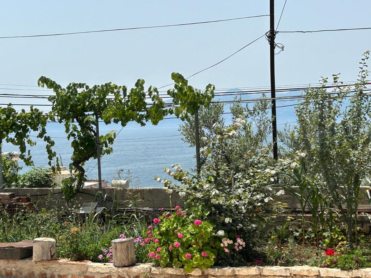 Apartment Eri Sarande